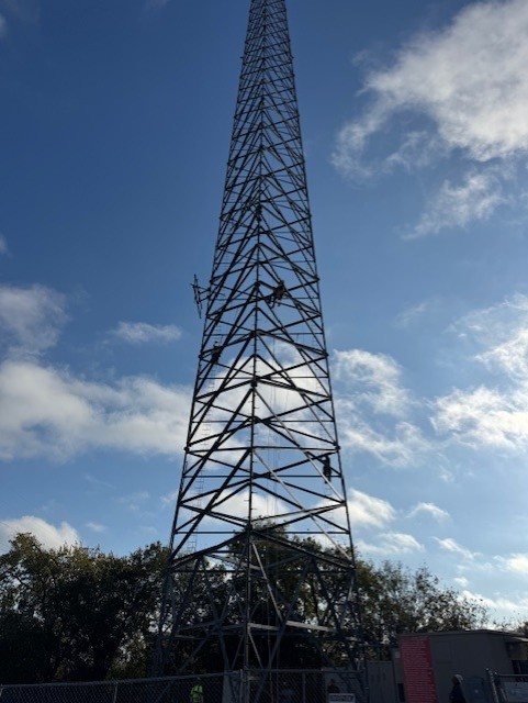 training development programs