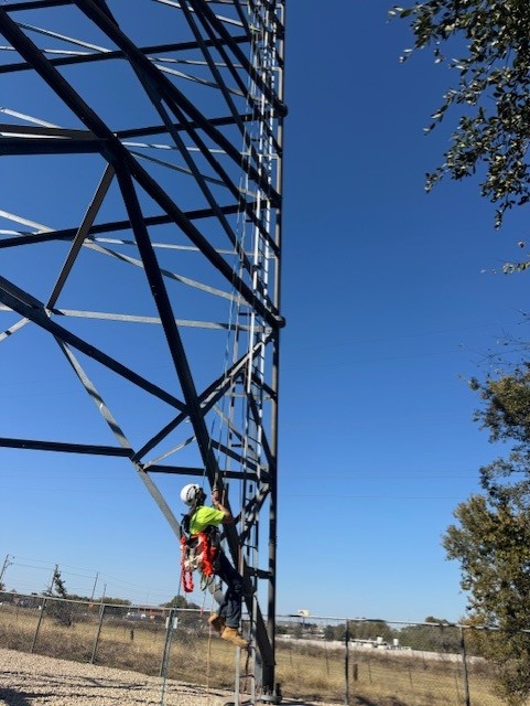 training development programs