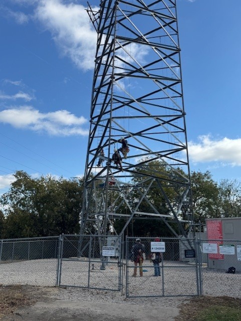 training development programs